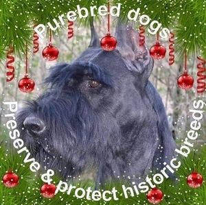 Meet your Posher, Jody